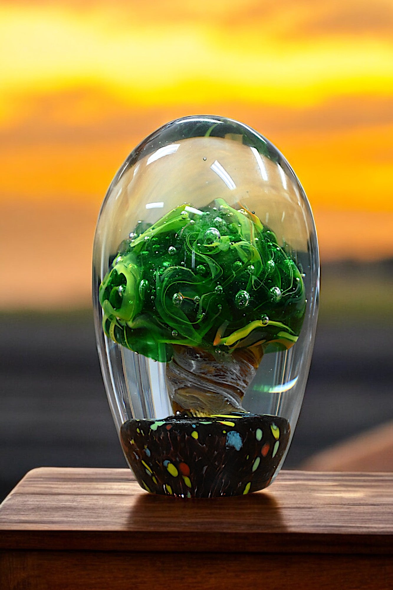 Plant in Paperweight