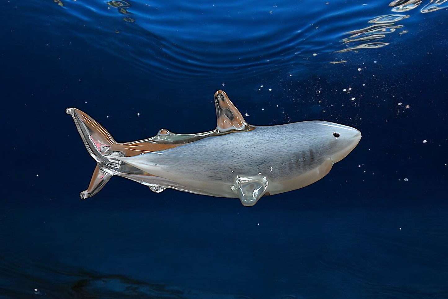 Shark Sapphire