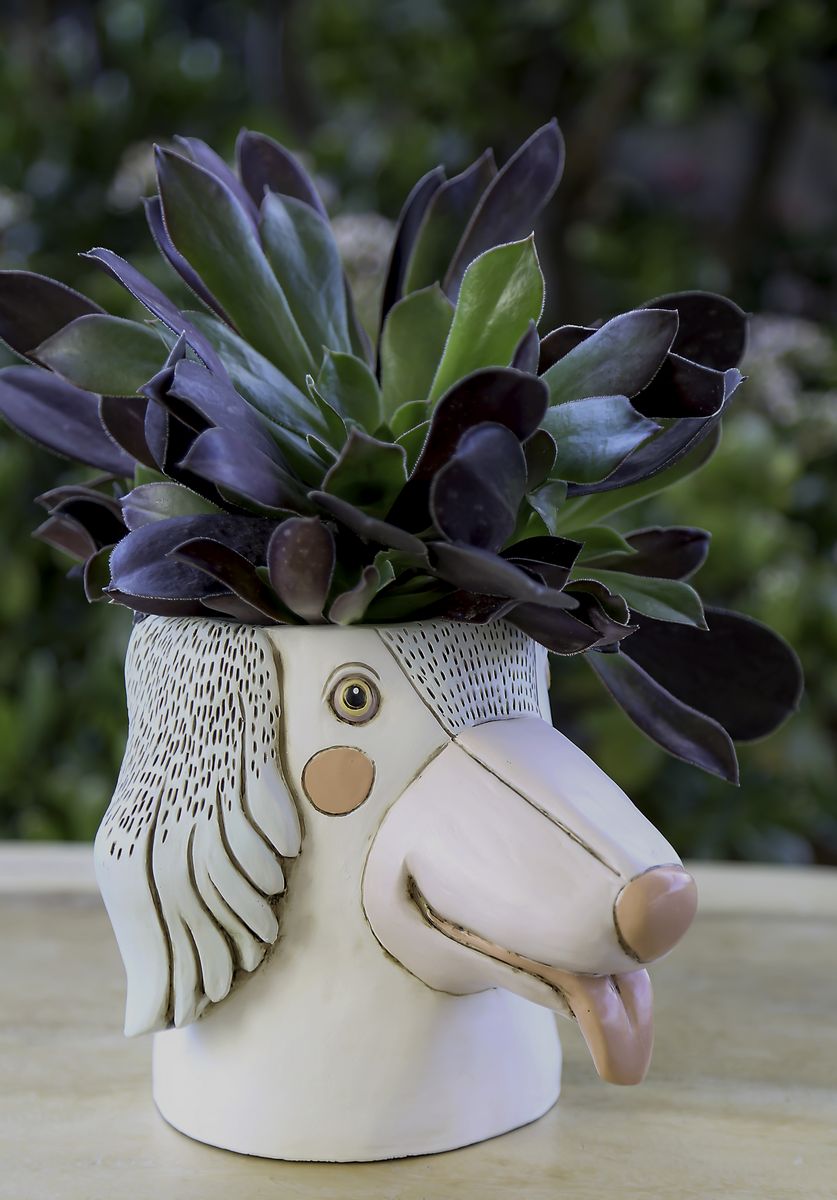 Dog Planter