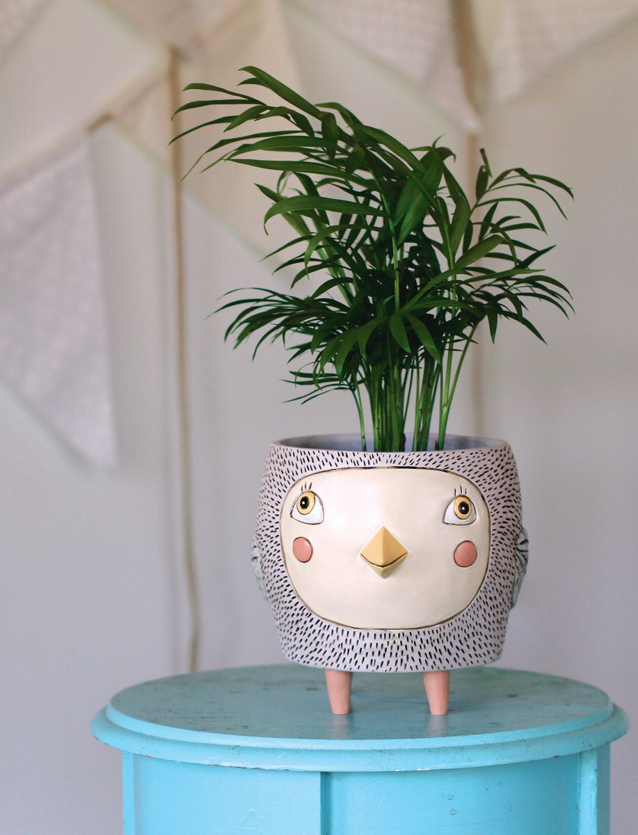 Bye Bye Birdie Planter