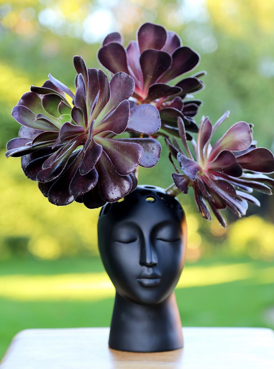 Eugenie Vase