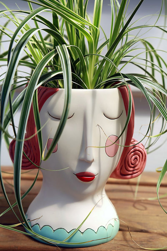 Red Rose Planter