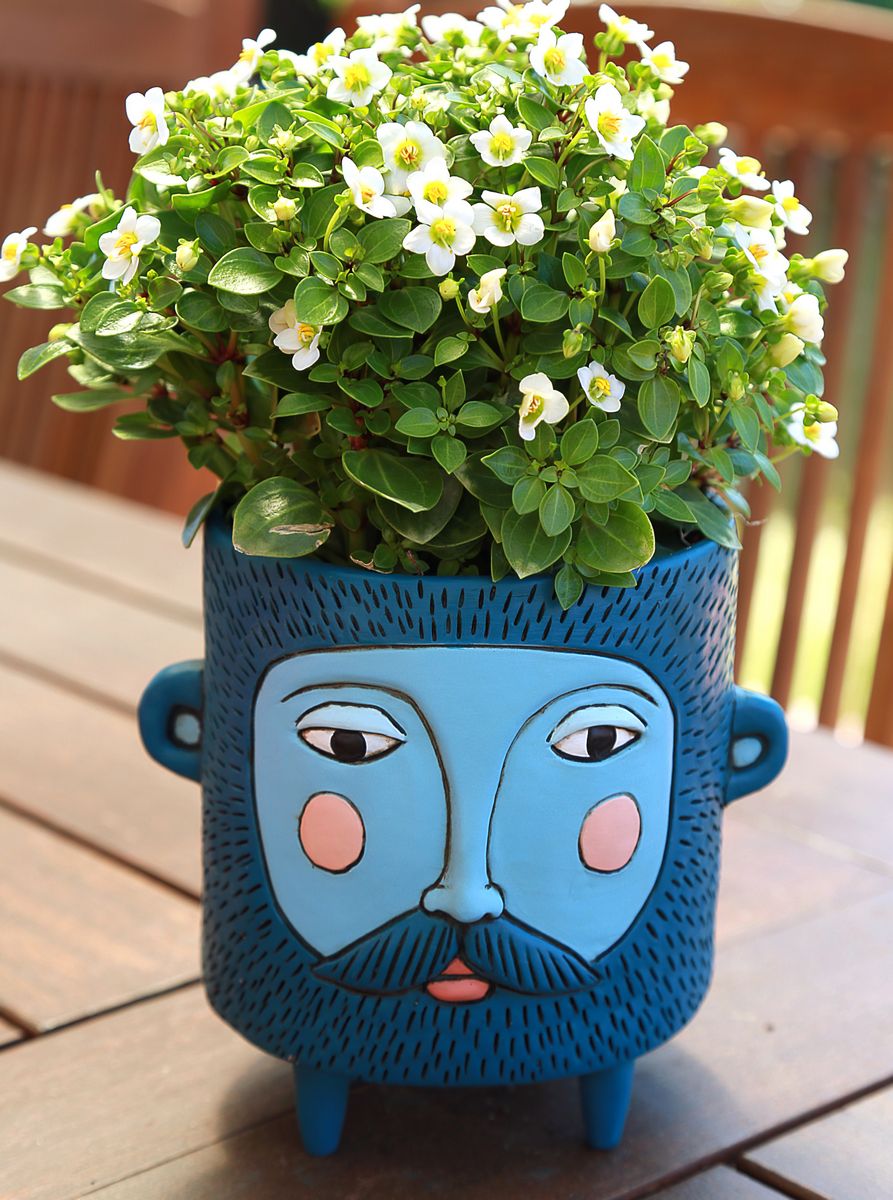 Hairy Jack Blue Planter