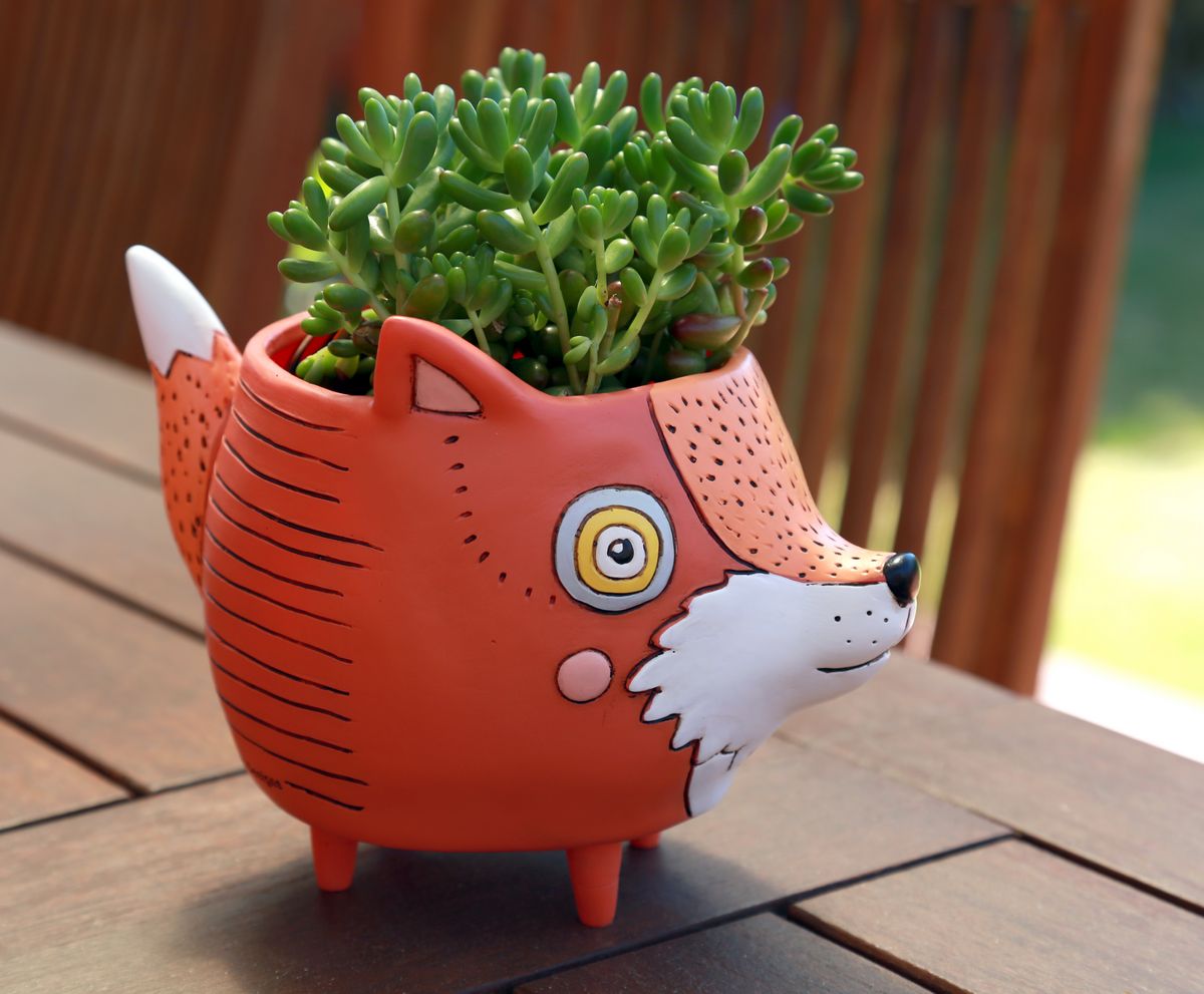 Foxy Planter