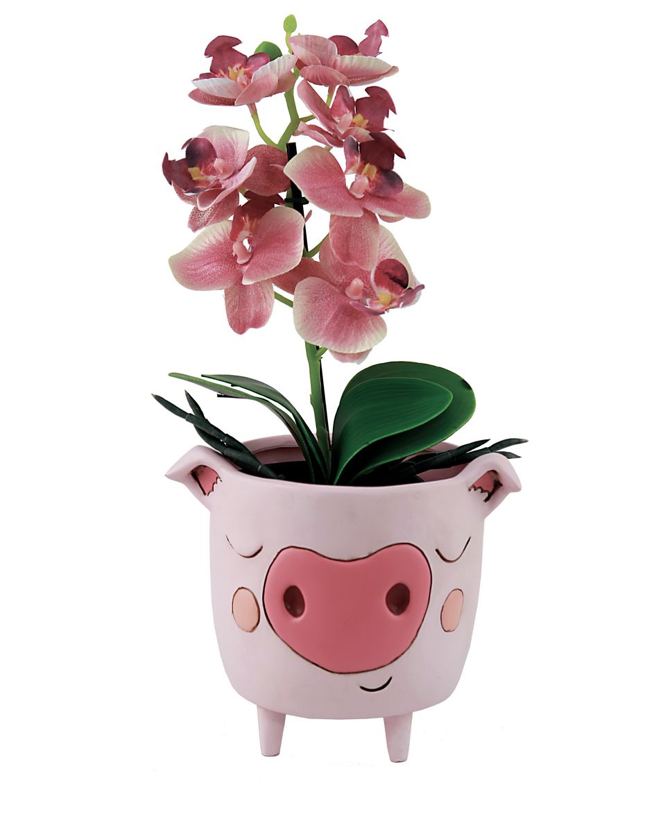 Piggy Planter