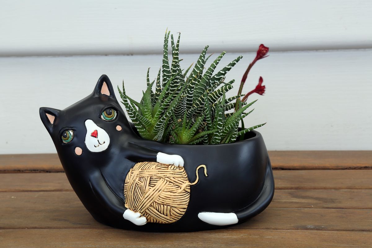 Black Cat With Yarn Planter