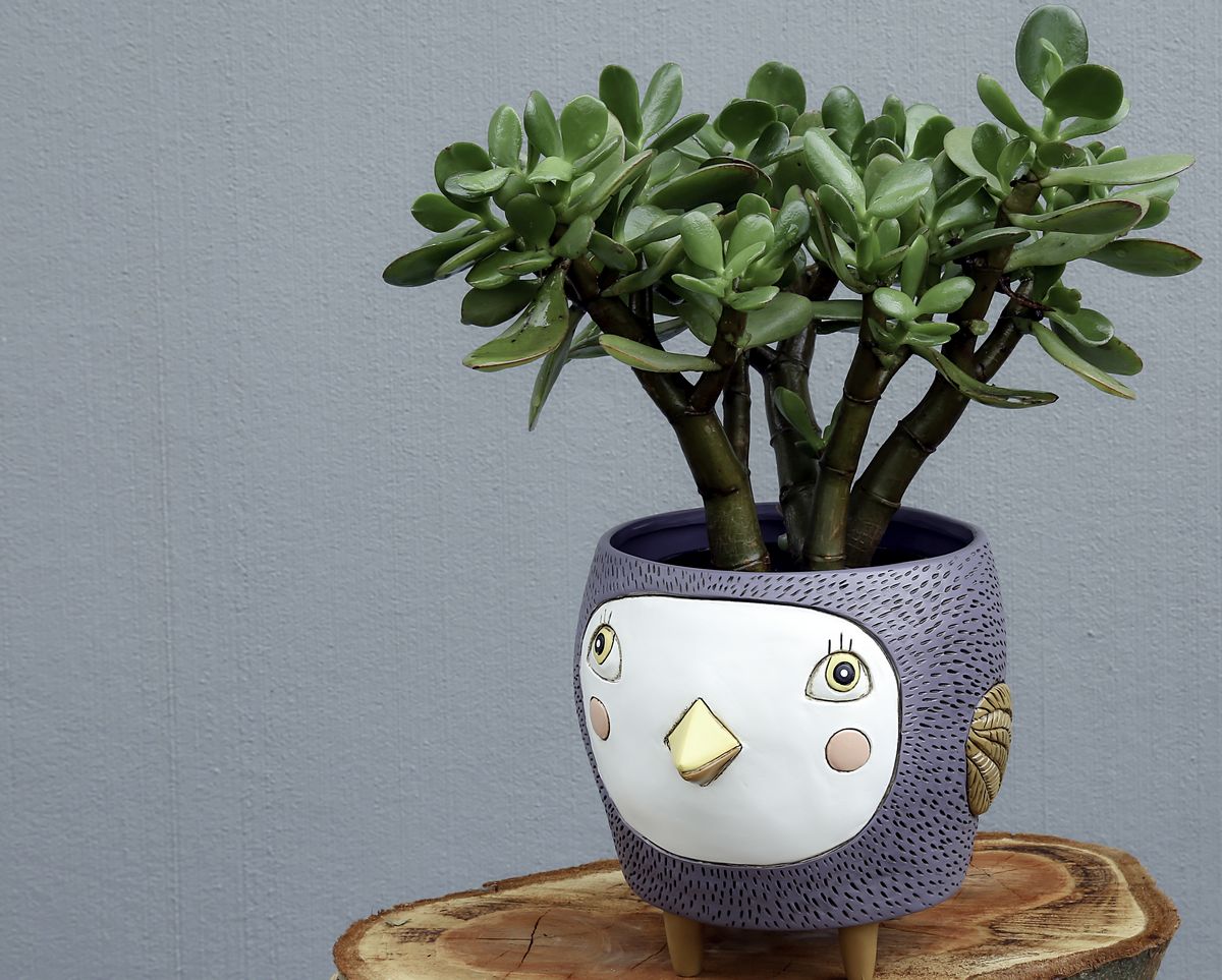 Birdie Purple Planter