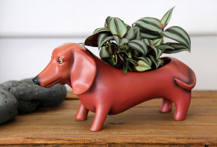 Oscar Planter