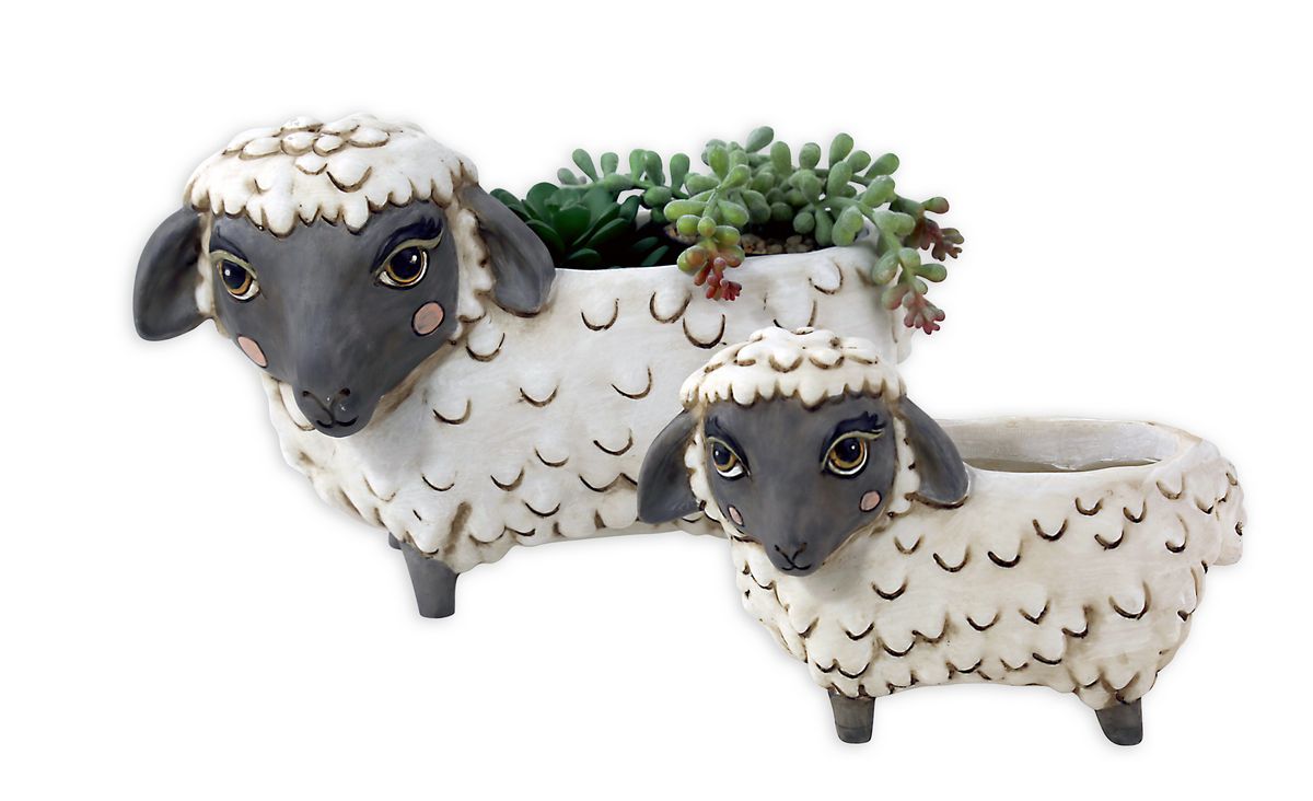 Baby Black Sheep Planter