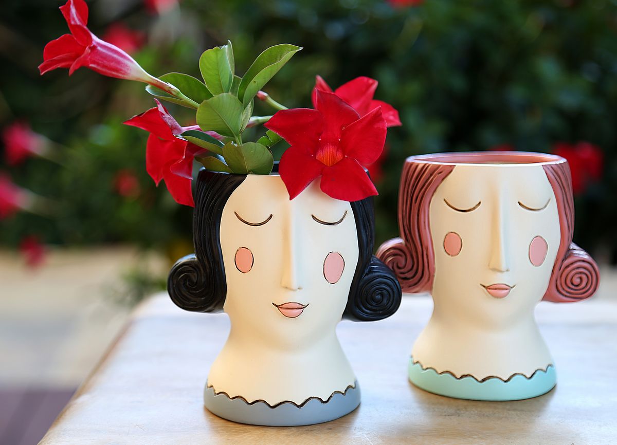 Baby Rose Black & Red Planter Mix