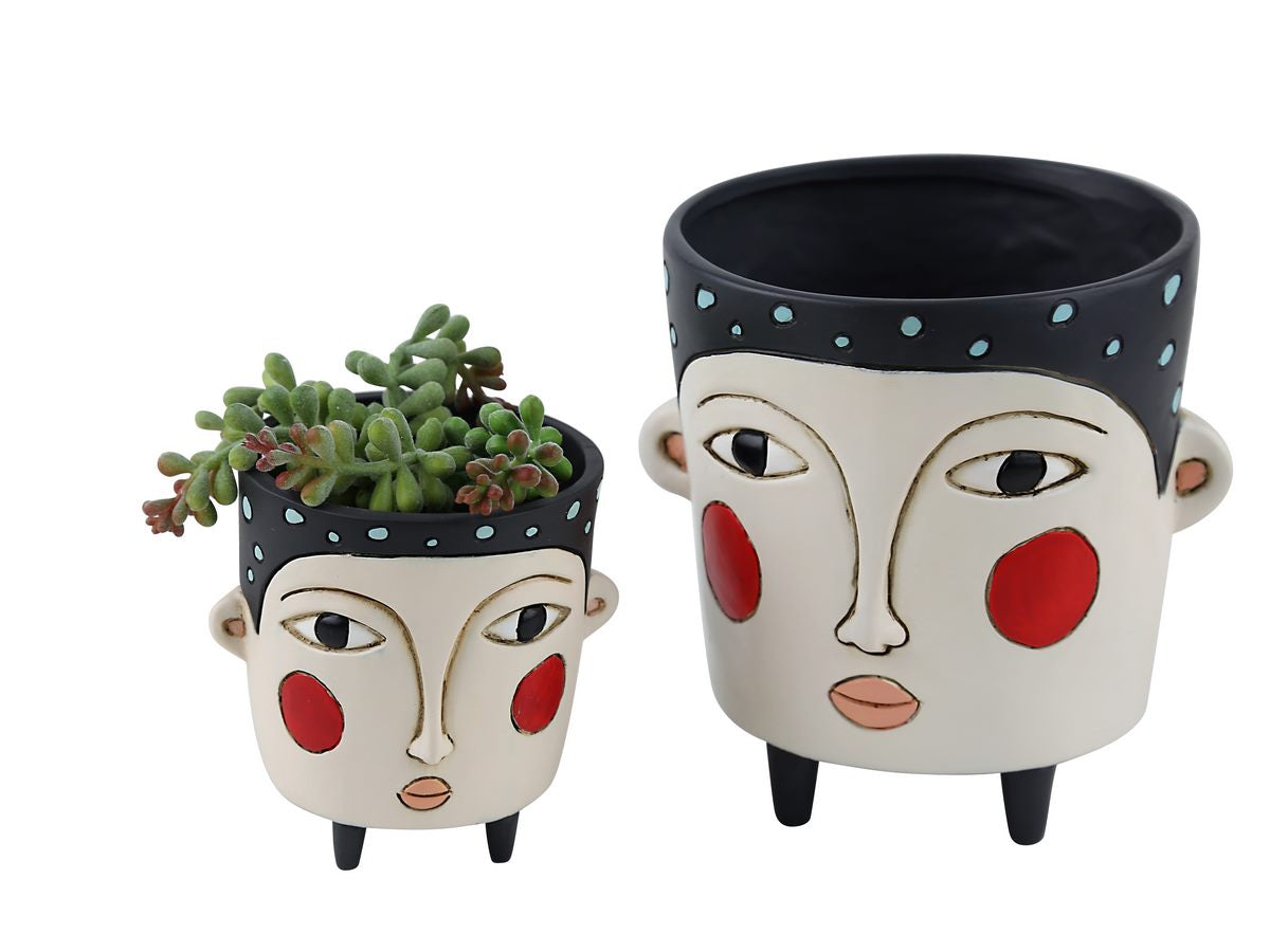 Baby Polly Blue & Black Planter Mix