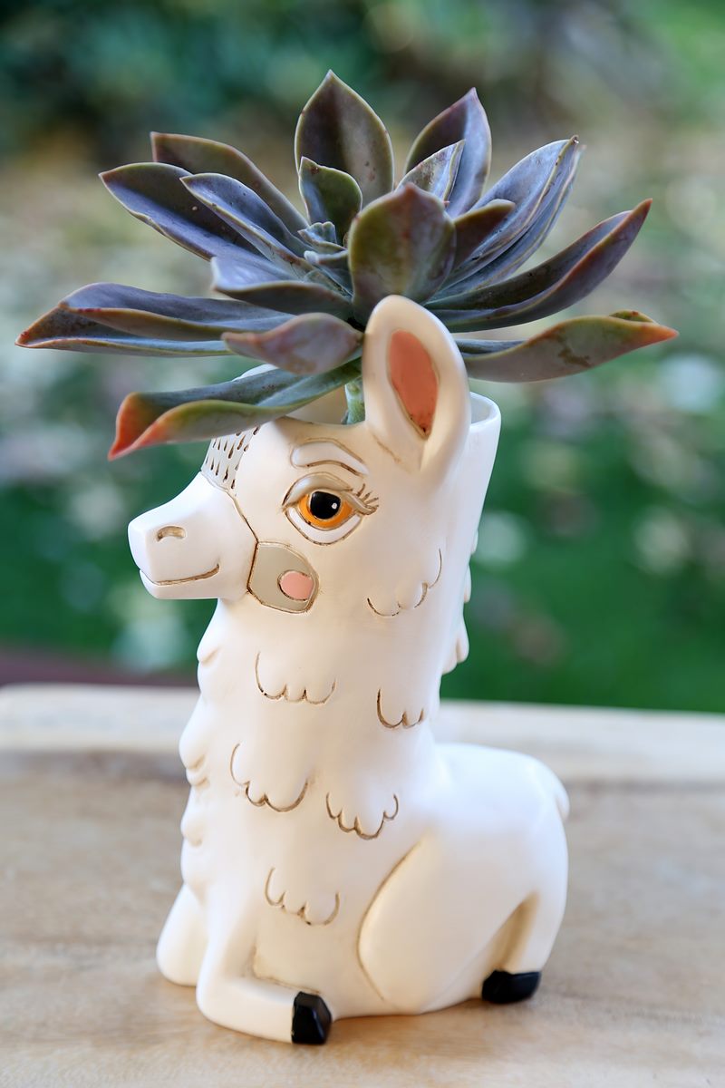 Llama Love Vase