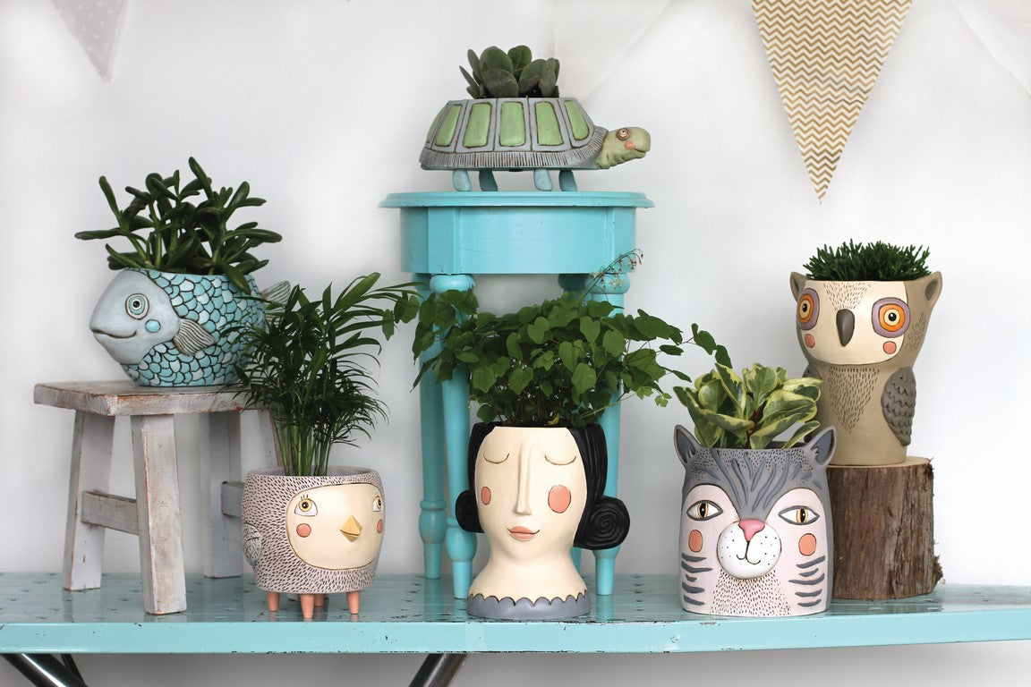 Allen Designs Planters – Rikaro