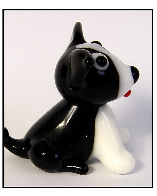 Pippin Wags