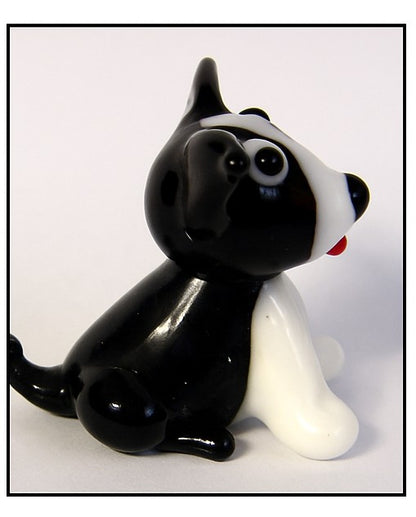 Pippin Wags
