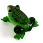 Glimmer Frog
