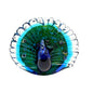 Peacock Green & Blue