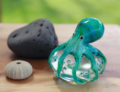 Turq. Octopus on a Rock