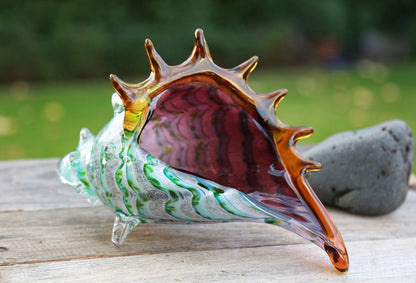 Sea Shell Multicolour