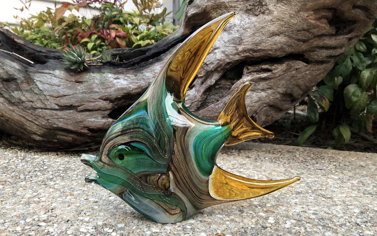 Angel Fish