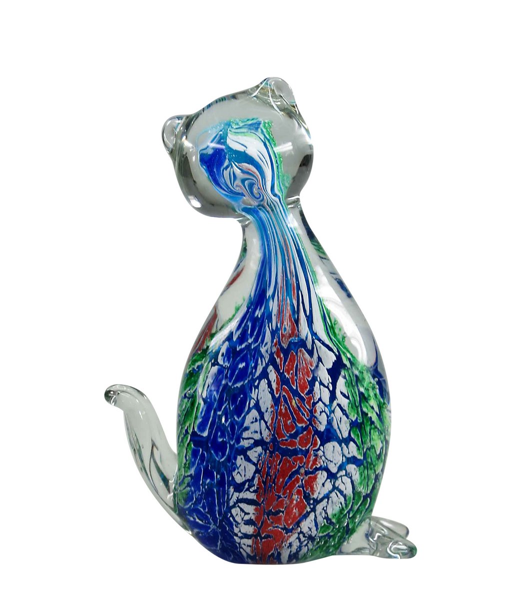 Cat Multicolour
