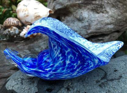 Sea Shell Blue