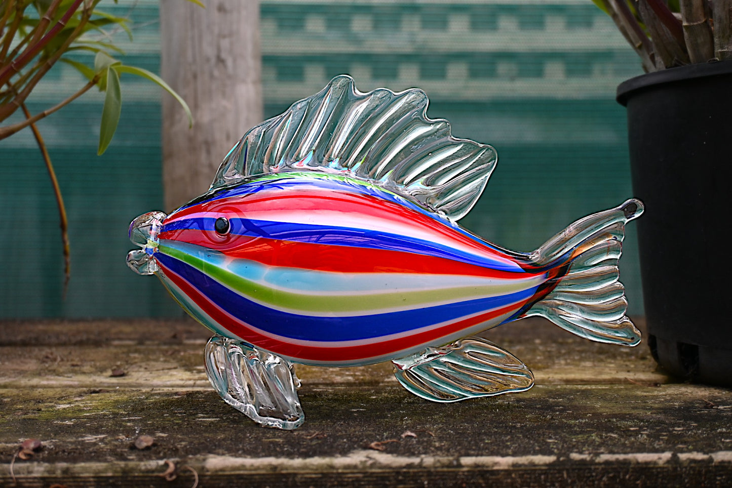 Fish Stripes