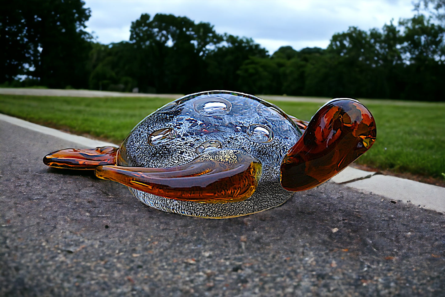 Turtle Amber Black