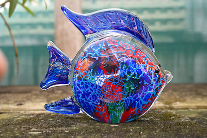 Angel Fish Multicolour