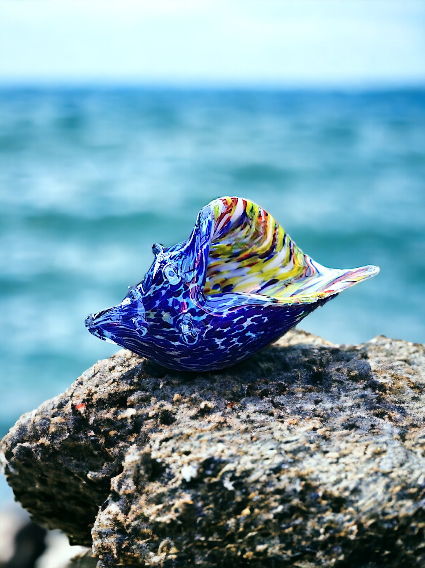 Sea Shell Blue Multicolour