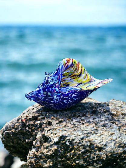 Sea Shell Blue Multicolour