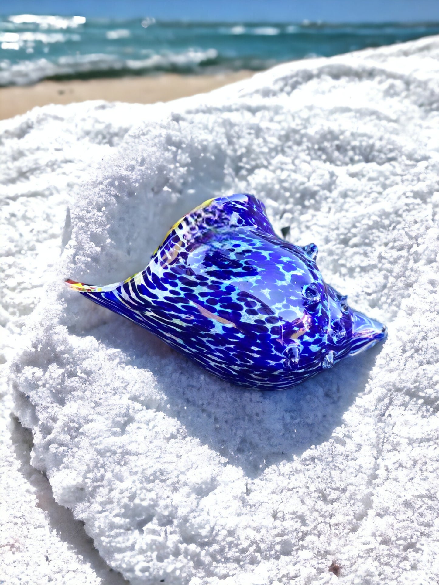 Sea Shell Blue Multicolour