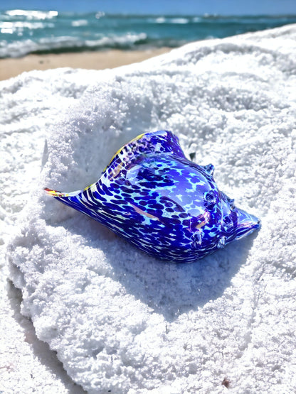 Sea Shell Blue Multicolour