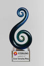 Momentum Award