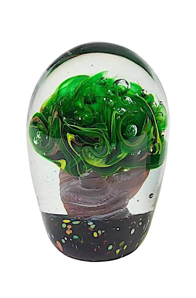Plant in Paperweight