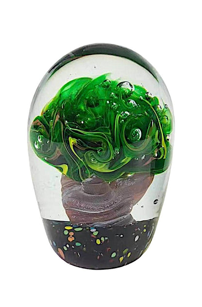 Plant in Paperweight