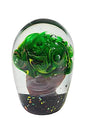 Plant in Paperweight