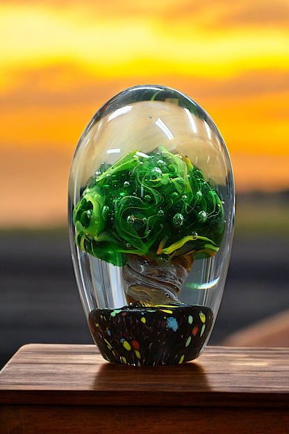 Plant in Paperweight