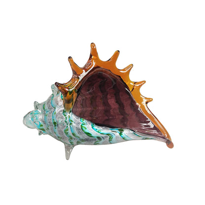Sea Shell Multicolour