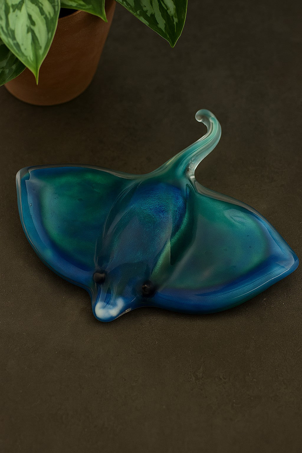 Stingray Light Blue-Green