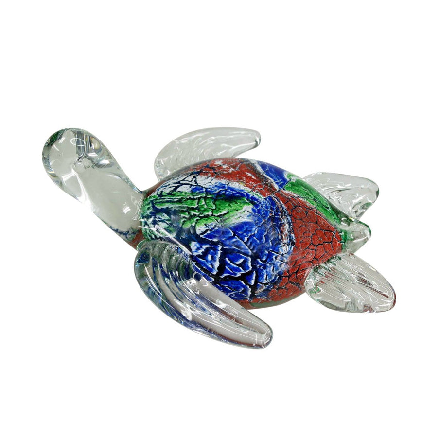 Turtle Multicolour