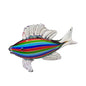 Fish Stripes