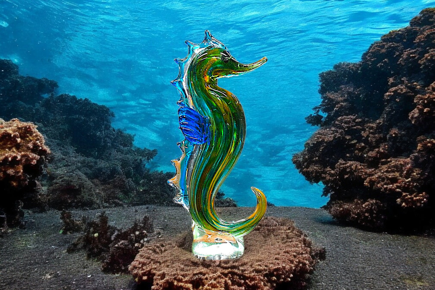 Seahorse Serenade