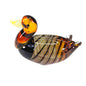 Duck Amber