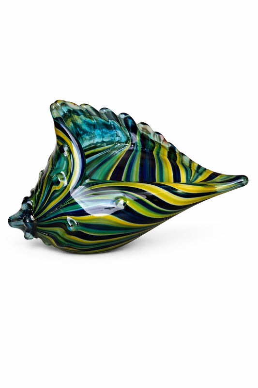 Rainbow Reef Shell