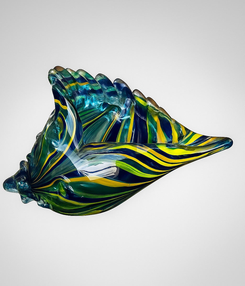 Rainbow Reef Shell