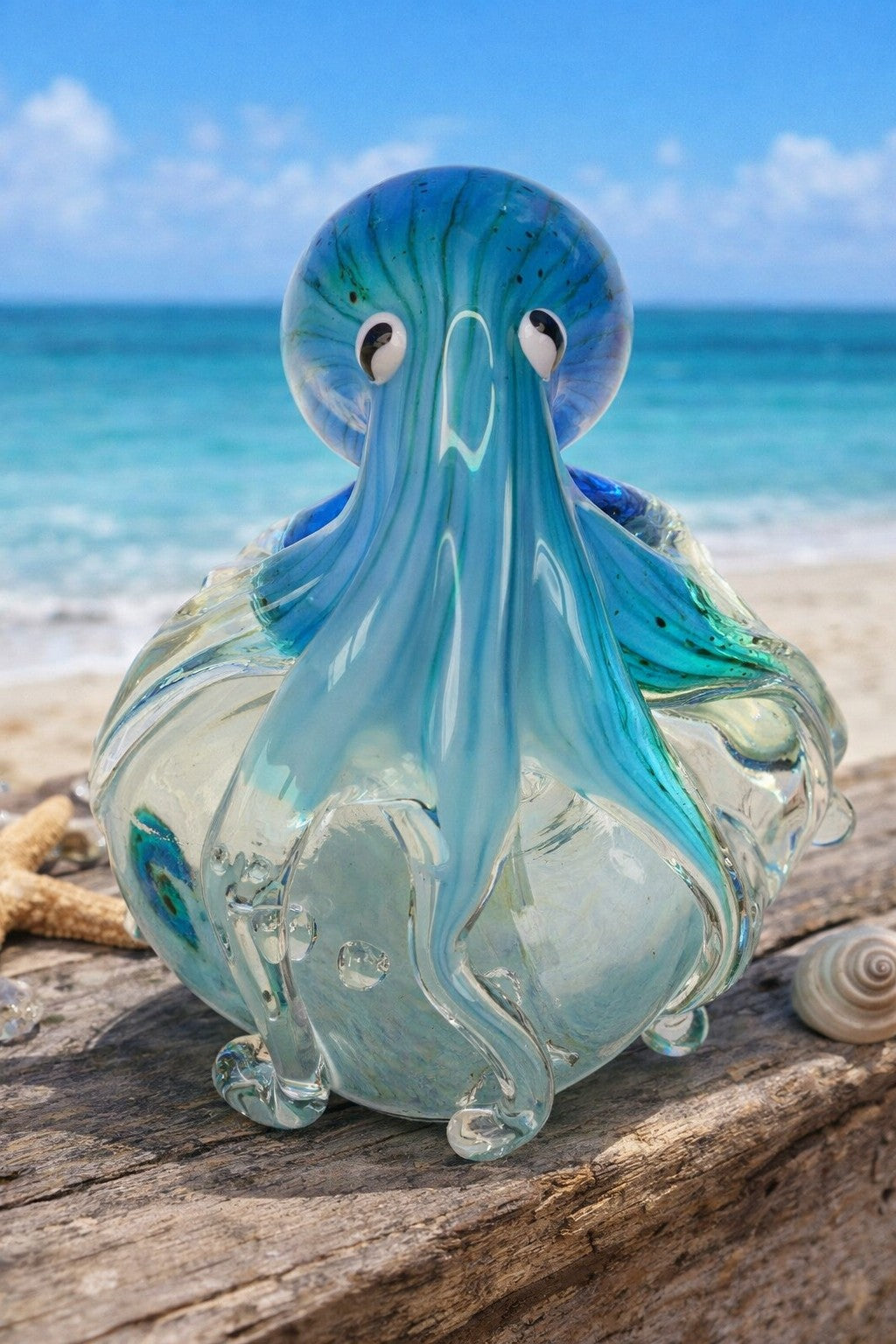 Octopus on a Rock