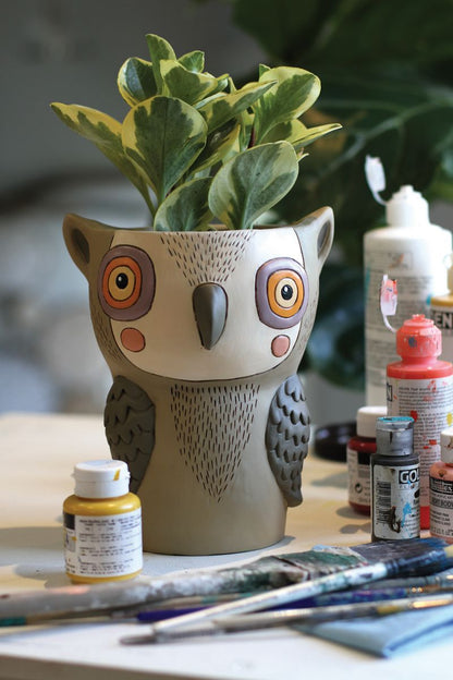 Hootie Owl Planter