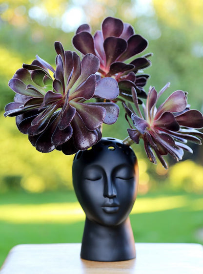 Eugenie Vase