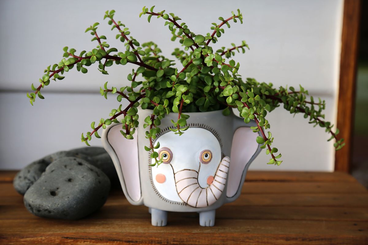 Elephant Planter